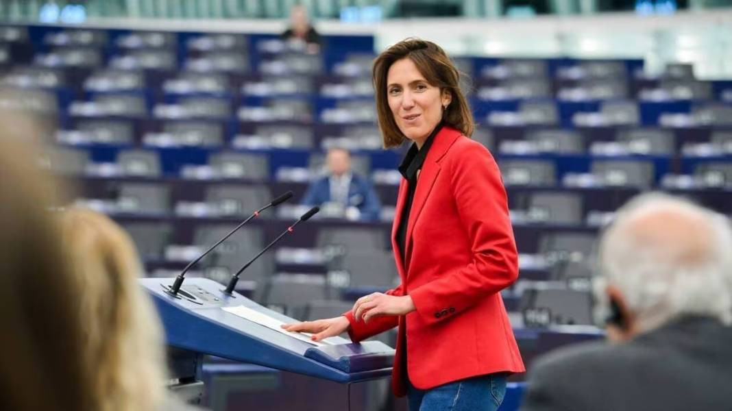 Avrupa parlamento seçimleri. Kim kazandı kim kaybetti - Resim: 11