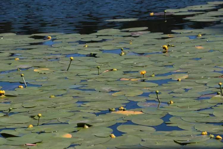 Cezasını duyunca yanından geçemeyeceksiniz. Tam 387 bin lira - Resim: 6