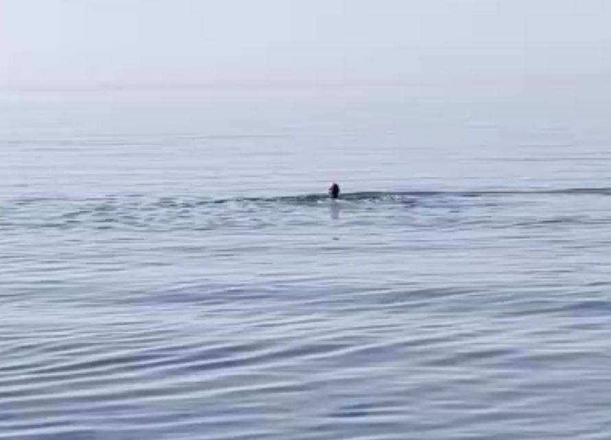 Termometreler 40 dereci buldu vatandaşlar kendilerini denize attı - Resim: 7