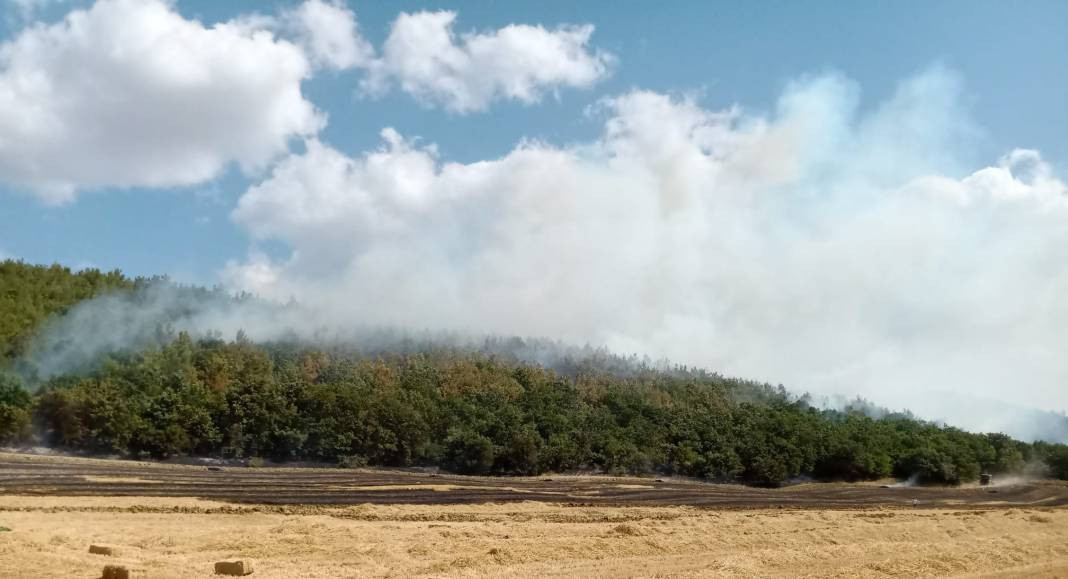 Anız yangın ormana sıçradı yürekler ağza geldi - Resim: 4