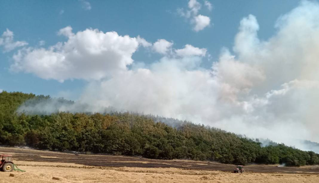 Anız yangın ormana sıçradı yürekler ağza geldi - Resim: 2