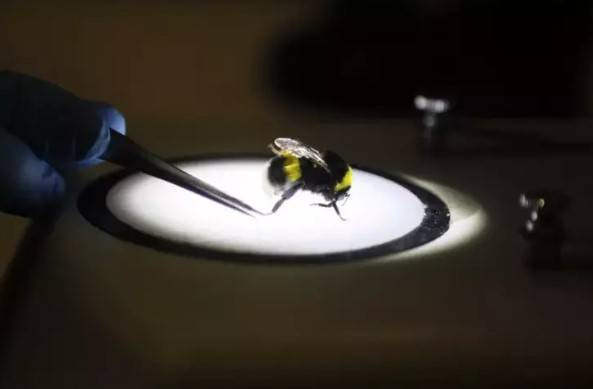 Türkiye’de üretiliyor 25 ülkeye ihraç ediliyor. İlk üç ayın getirisi 20 milyon Euro - Resim: 8