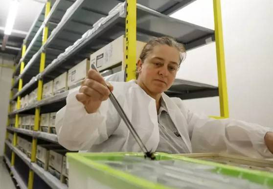 Türkiye’de üretiliyor 25 ülkeye ihraç ediliyor. İlk üç ayın getirisi 20 milyon Euro - Resim: 6