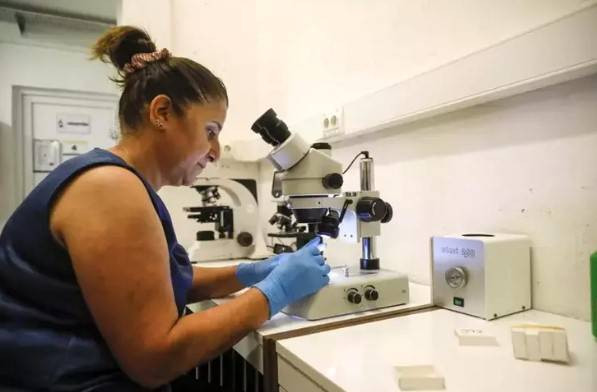 Türkiye’de üretiliyor 25 ülkeye ihraç ediliyor. İlk üç ayın getirisi 20 milyon Euro - Resim: 4