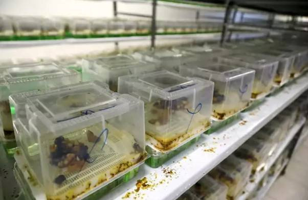 Türkiye’de üretiliyor 25 ülkeye ihraç ediliyor. İlk üç ayın getirisi 20 milyon Euro - Resim: 5