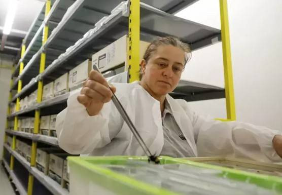 Türkiye’de üretiliyor 25 ülkeye ihraç ediliyor. İlk üç ayın getirisi 20 milyon Euro - Resim: 1