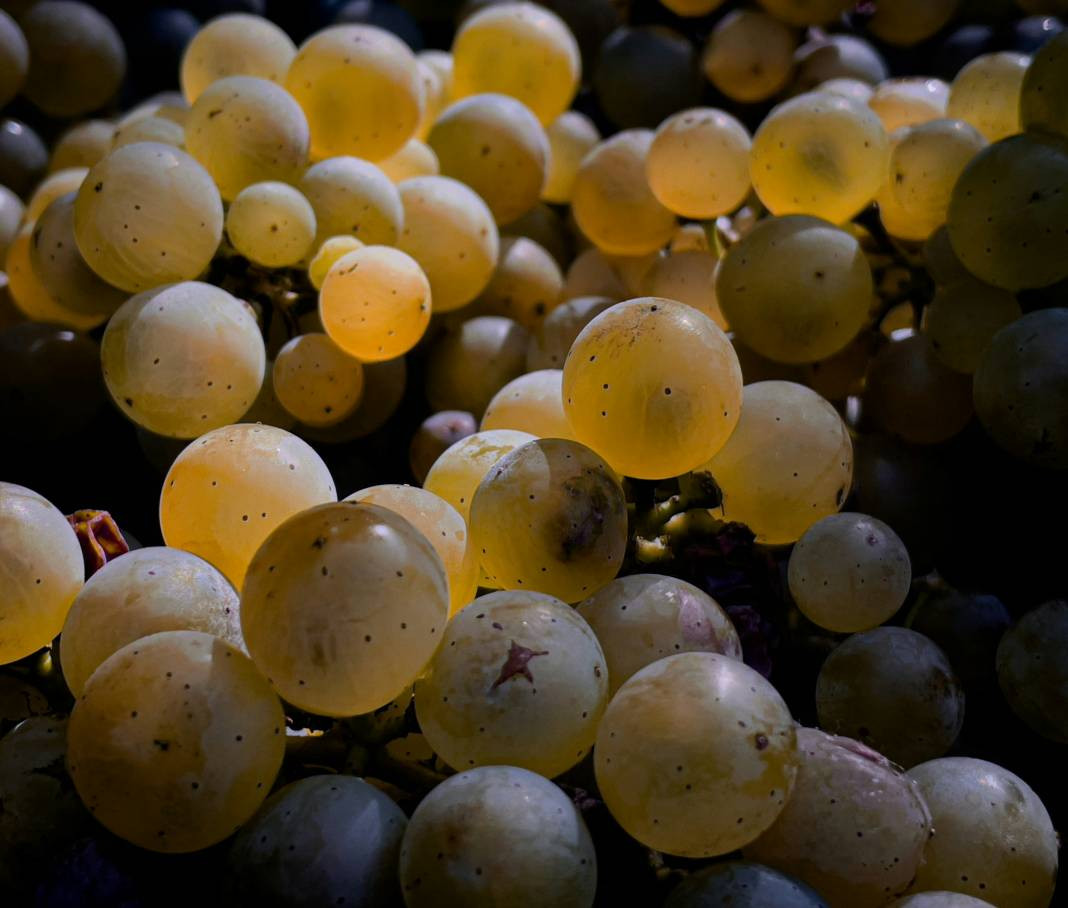 Üzüm yemeden önce bilmeniz gereken 20 gerçek - Resim: 20