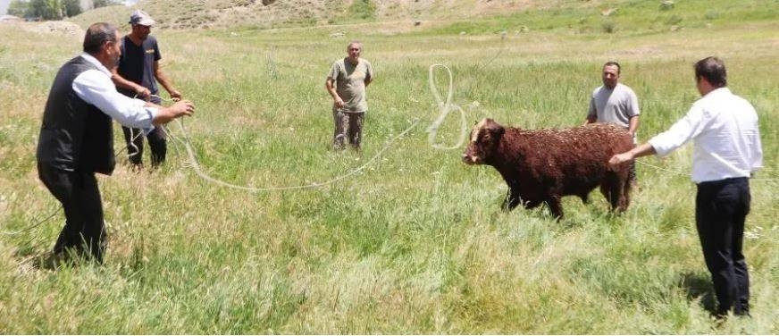 Uruguay'dan gelip Erzurum'u birbirine kattılar. Tam 7 saat sürdü - Resim: 7