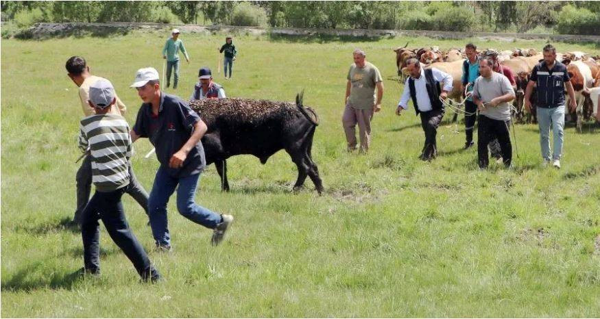 Uruguay'dan gelip Erzurum'u birbirine kattılar. Tam 7 saat sürdü - Resim: 6