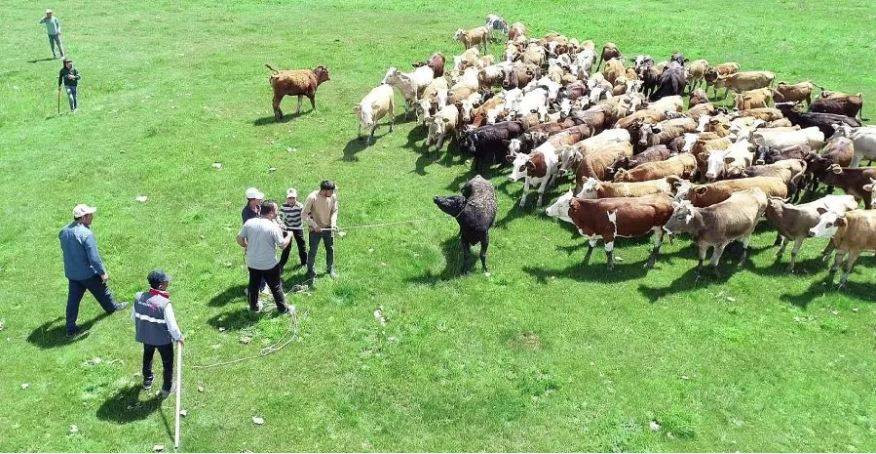 Uruguay'dan gelip Erzurum'u birbirine kattılar. Tam 7 saat sürdü - Resim: 4