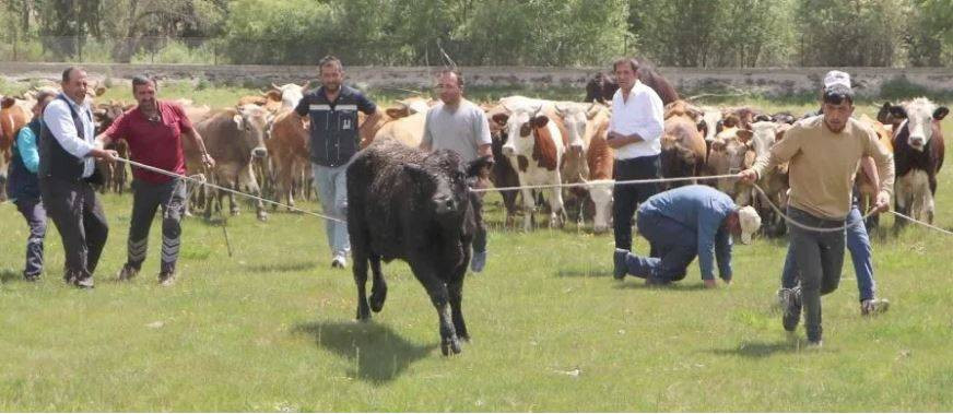 Uruguay'dan gelip Erzurum'u birbirine kattılar. Tam 7 saat sürdü - Resim: 5