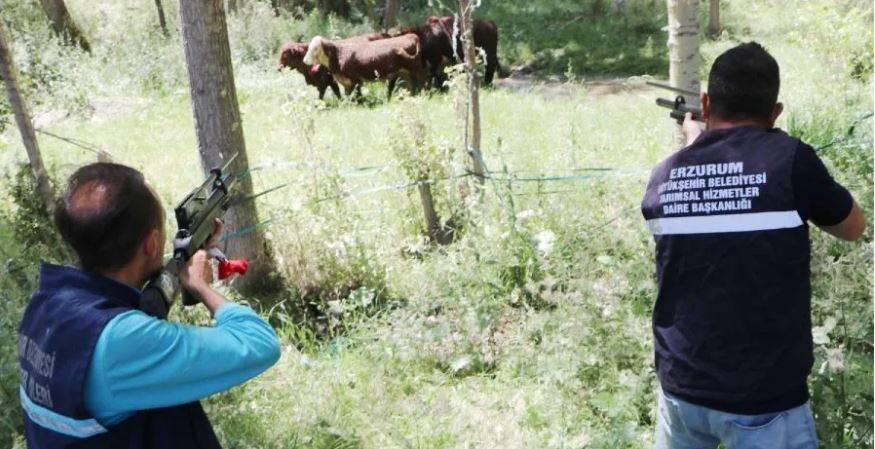 Uruguay'dan gelip Erzurum'u birbirine kattılar. Tam 7 saat sürdü - Resim: 3