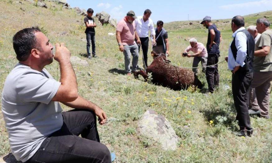Uruguay'dan gelip Erzurum'u birbirine kattılar. Tam 7 saat sürdü - Resim: 2
