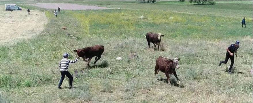 Uruguay'dan gelip Erzurum'u birbirine kattılar. Tam 7 saat sürdü - Resim: 1