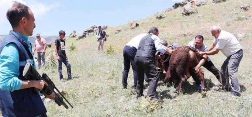 Uruguay'dan gelip Erzurum'u birbirine kattılar. Tam 7 saat sürdü - Resim: 8