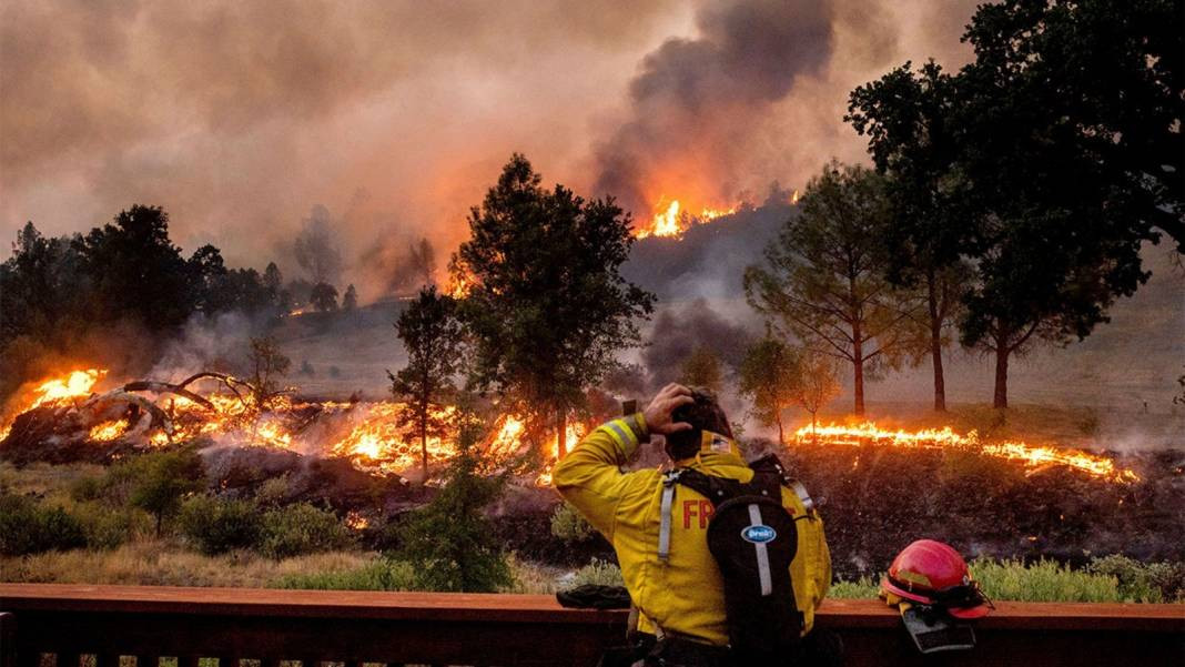 En az 52 bin kişi genç yaşta öldü. Orman yangınlarına ilişkin çarpıcı araştırma - Resim: 4