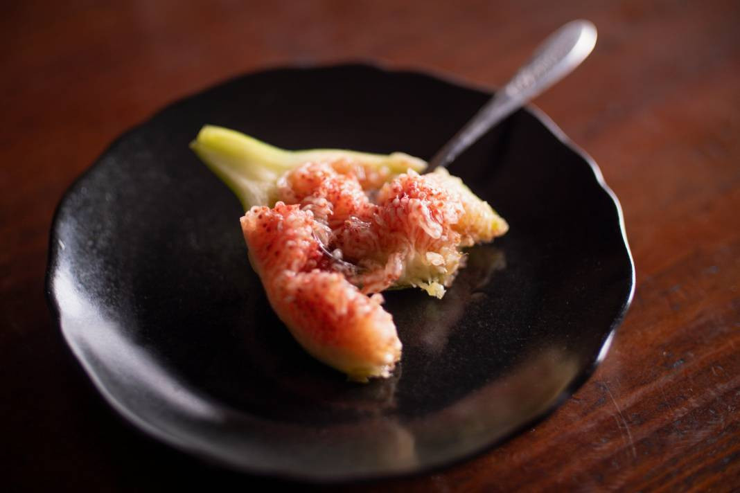 İncir yemeden önce bilmeniz gereken 20 gerçek - Resim: 10