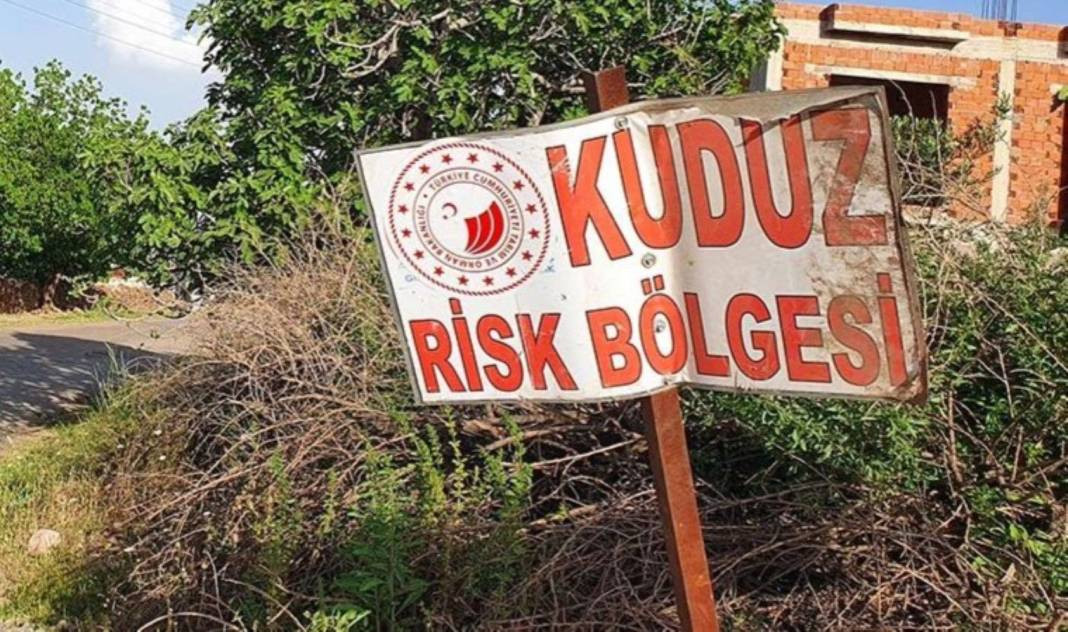 Bir ilde kuduz alarmı! Karantinaya alındı - Resim: 5