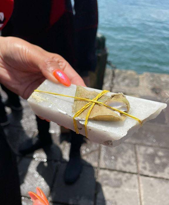 Bunlar denizden çıktı. Motosiklet tüplü televizyon ne ararsan var - Resim: 11