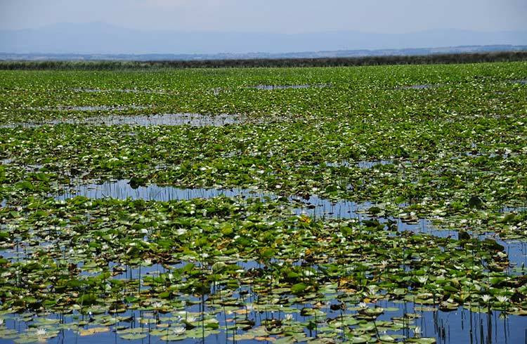 Cezasını duyunca yanından geçemeyeceksiniz. Tam 387 bin lira - Resim: 5