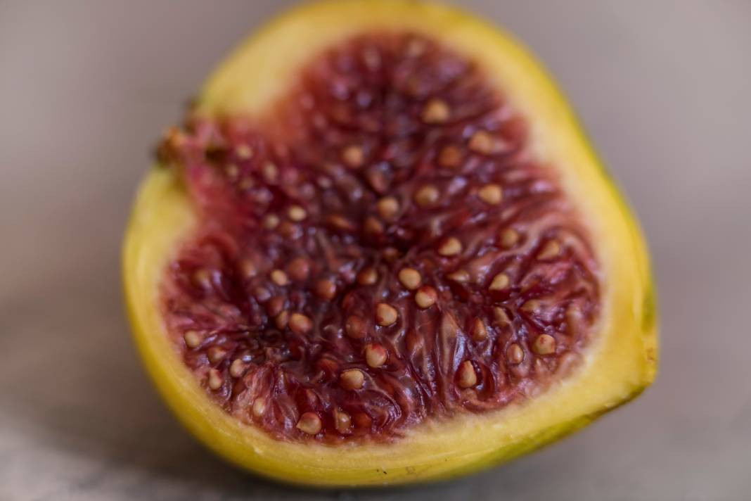 İncir yemeden önce bilmeniz gereken 20 gerçek - Resim: 16