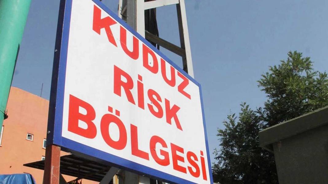 Bir ilde kuduz alarmı! Karantinaya alındı - Resim: 2