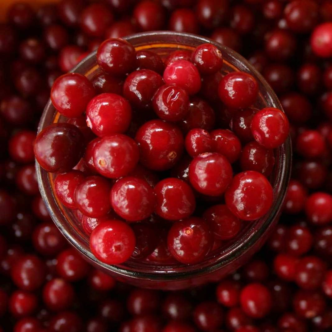 Kalbini seven bol bol yesin. Doğal kan sulandırıcı - Resim: 11