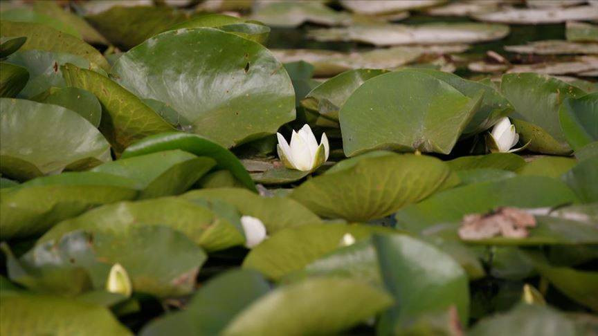 Cezasını duyunca yanından geçemeyeceksiniz. Tam 387 bin lira - Resim: 3