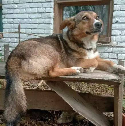 Birini zehirleyerek öldürdüler birini kaçırdılar - Resim: 8