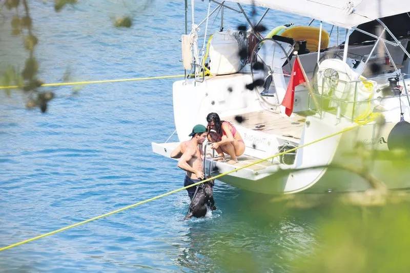 Köpeklerinin yüzmesini kameraya aldı - Resim: 18