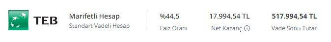 500 bin TL'nin aylık getirisi belli oldu. 17 hafta sonra bir ilk yaşandı - Resim: 5