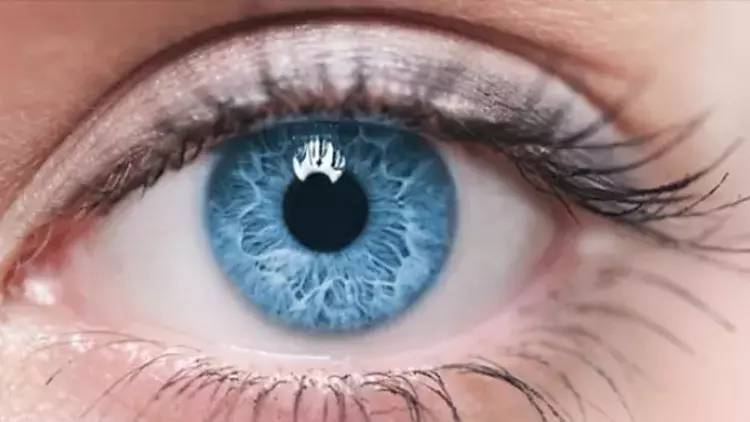 Ne kadar ömrünüzün kaldığını gözleriniz ele veriyor - Resim: 7