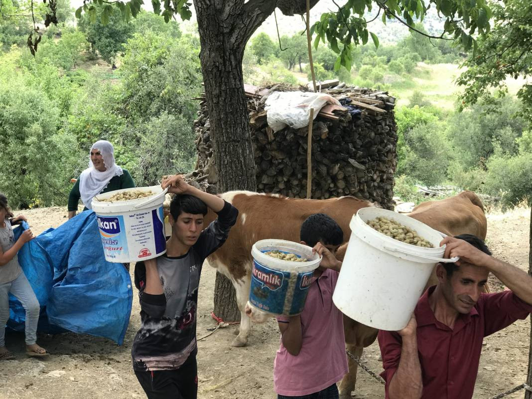 Odun ateşinde pişiriliyor ülserin kökünü kazıyor. Kilosu 200 TL'den kapışılıyor - Resim: 7