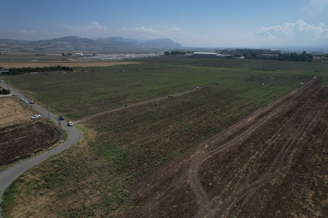 Çok sevilen sebzeyi bedava yaptı vatandaş çuval çuval aldı. Kahvaltıda bile yeniyor kilosu 15 TL - Resim: 7