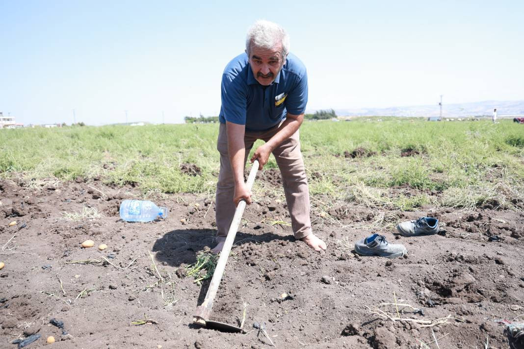 Çok sevilen sebzeyi bedava yaptı vatandaş çuval çuval aldı. Kahvaltıda bile yeniyor kilosu 15 TL - Resim: 1