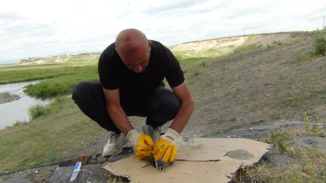 Kars'ta ağa takılan yavru karga kurtarıldı - Resim: 4
