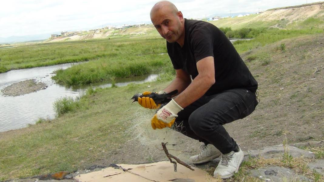 Kars'ta ağa takılan yavru karga kurtarıldı - Resim: 5