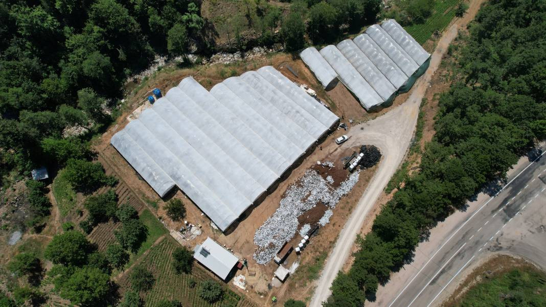 Olumsuz şartlara rağmen en iyisini elde ediyor! Kendisine gelir kapısı oldu - Resim: 1