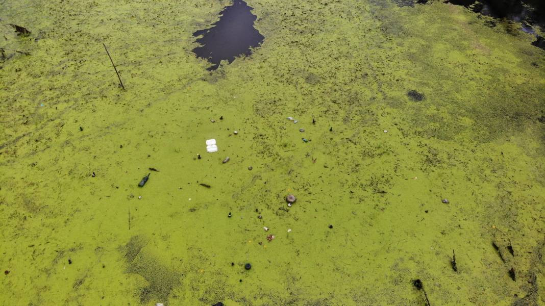 Nehrin rengi değişti içerisi çöplüğe döndü! Büyük tedirginlik yaşanıyor - Resim: 4