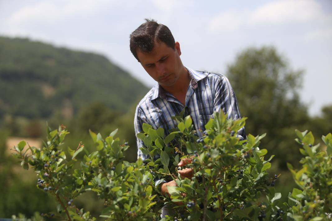 Vitamin deposu meyvenin iyi gelmediği yer yok! Kilosu 300 liradan satılıyor - Resim: 6