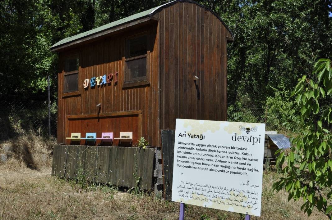 Üzerine yatan dinç kalkıyor. Turistler akın ediyor - Resim: 11