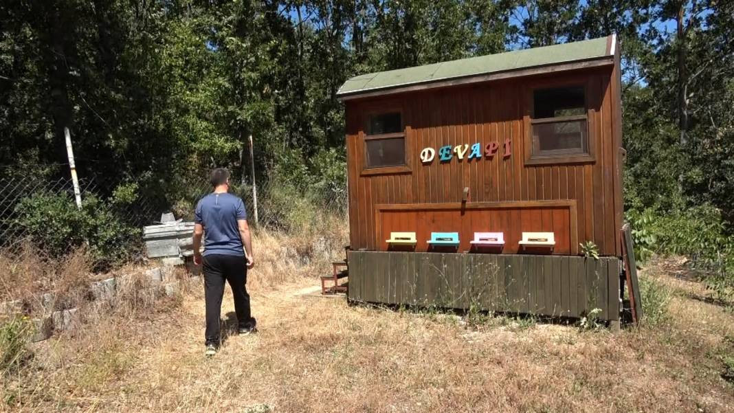 Üzerine yatan dinç kalkıyor. Turistler akın ediyor - Resim: 1