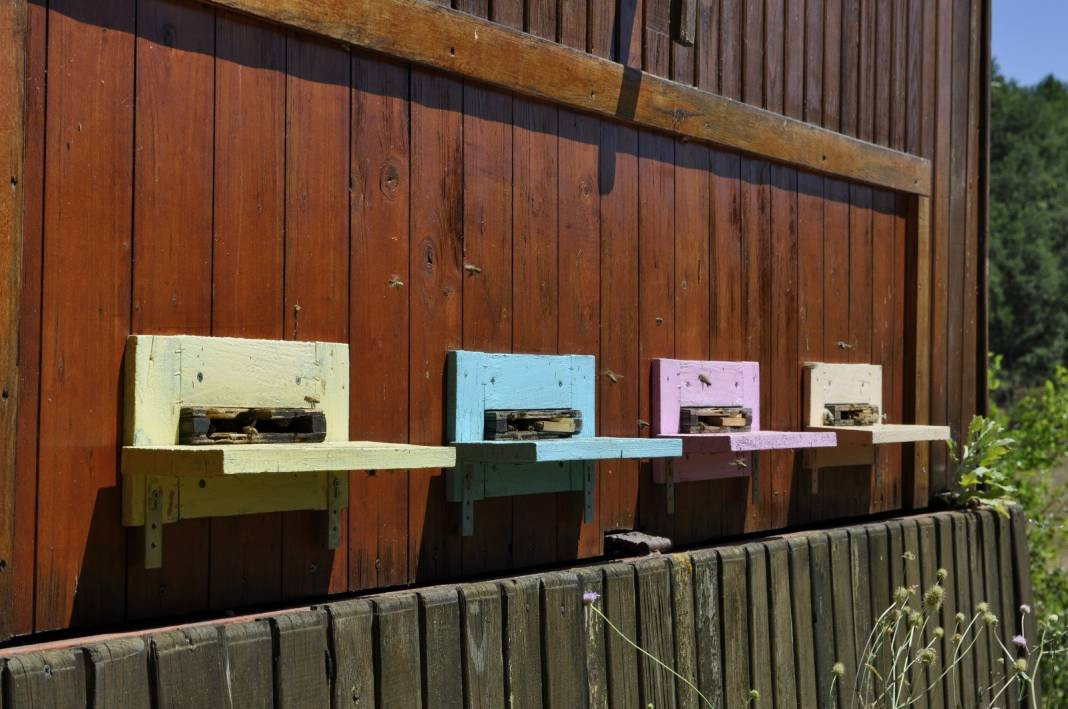 Üzerine yatan dinç kalkıyor. Turistler akın ediyor - Resim: 7