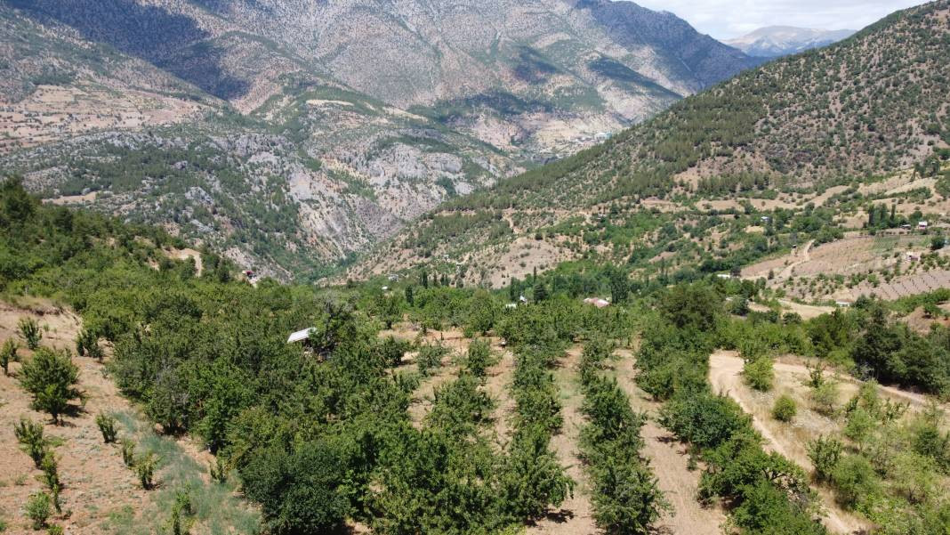 Lezzeti ülke sınırlarını aştı dalında 10 markette 140 TL - Resim: 5