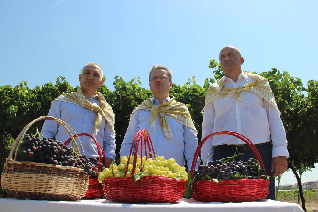 Spil Karası üzümünde ilk hasat başladı - Resim: 7