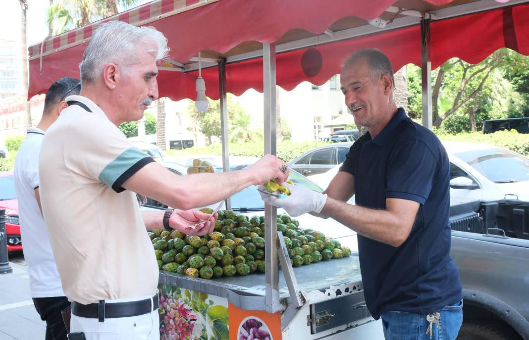 Bedava topluyorlar tanesini 15 TL'ye satıyorlar. Klima etkisi yapan meyve - Resim: 7