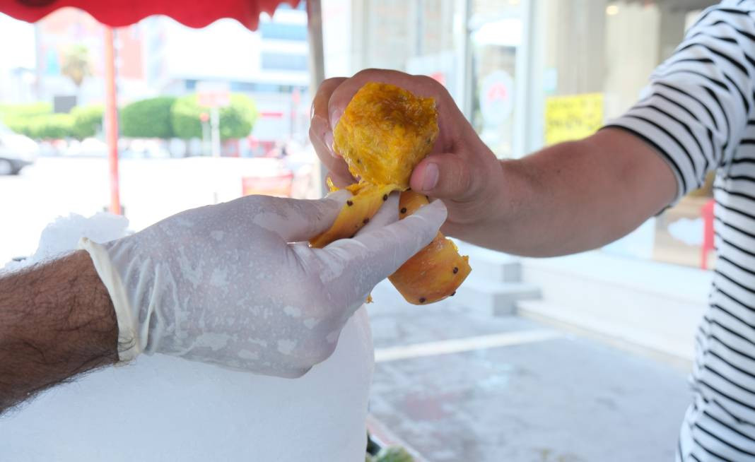 Bedava topluyorlar tanesini 15 TL'ye satıyorlar. Klima etkisi yapan meyve - Resim: 11