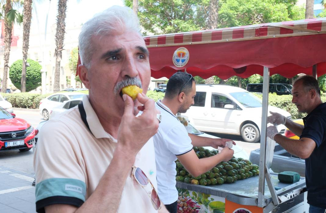 Bedava topluyorlar tanesini 15 TL'ye satıyorlar. Klima etkisi yapan meyve - Resim: 8