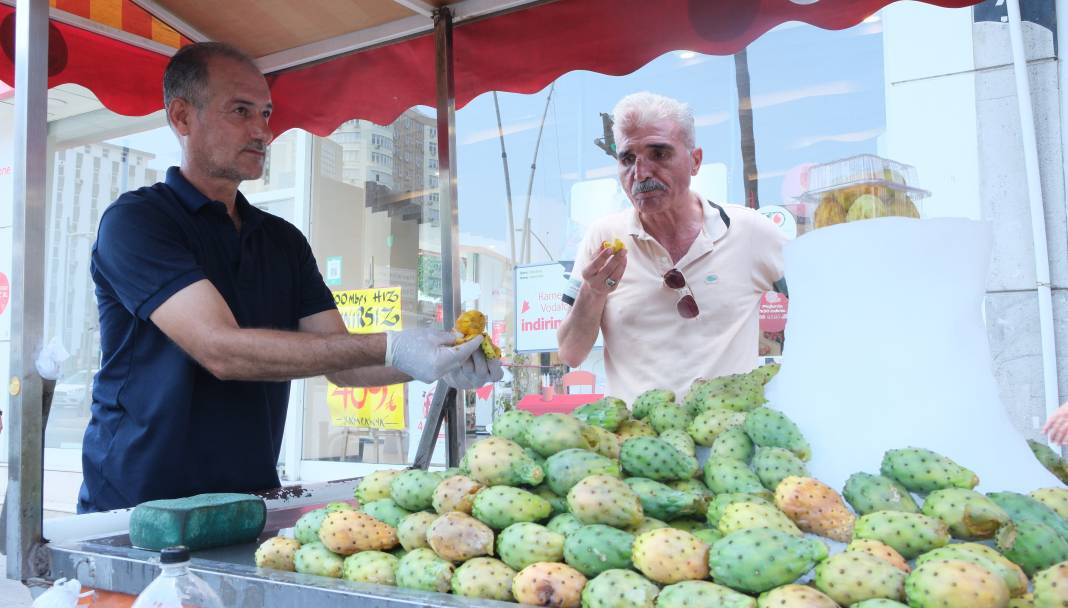 Bedava topluyorlar tanesini 15 TL'ye satıyorlar. Klima etkisi yapan meyve - Resim: 5