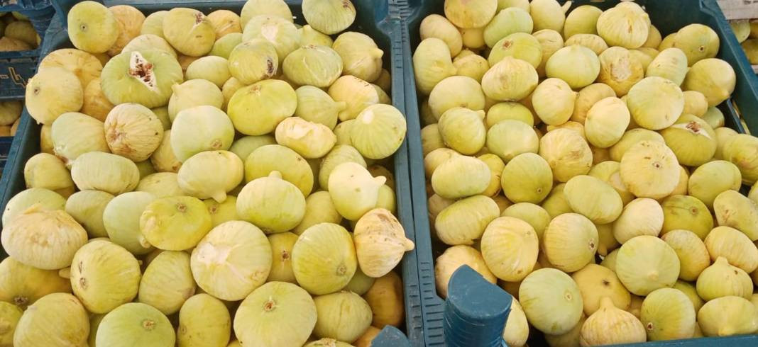 Kilosu 100 TL'den gidiyor üreticinin yüzünü güldürdü - Resim: 6